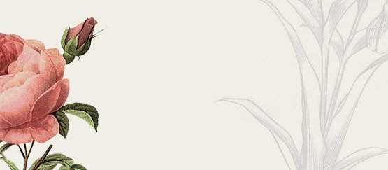 Pogledajte naš katalog