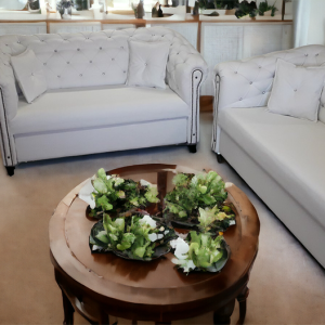 TDF Garnitura Athena u modernom dnevnom boravku